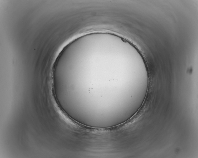 X0000097661526200803142120
