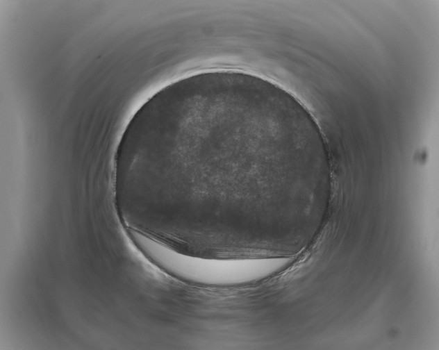 X0000097661527200803142120