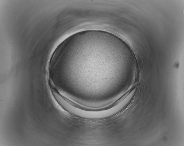 X0000097661528200803142120