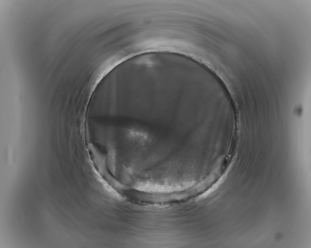 X0000097661529200803142120