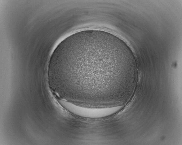 X0000097661530200803142120