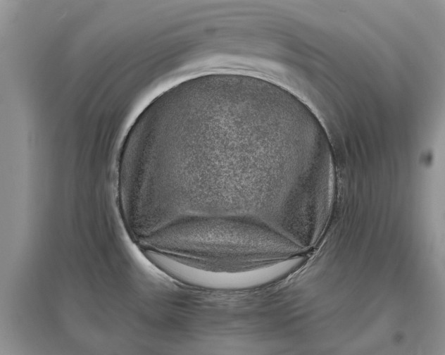 X0000097661531200803142120