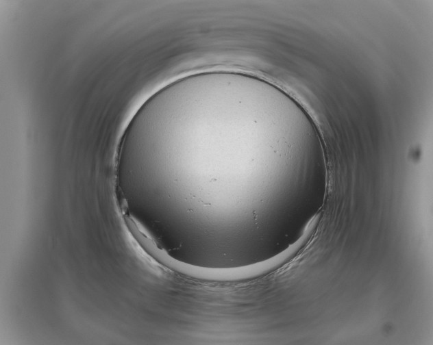 X0000097661532200803142120