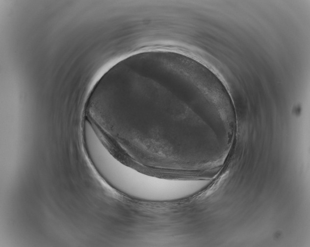 X0000097661533200803142120