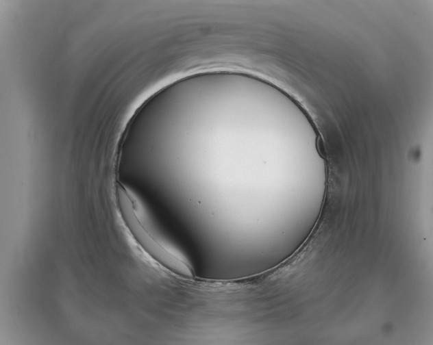 X0000097661534200803142120
