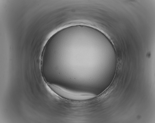 X0000097661535200803142121