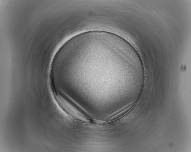 X0000097661536200803142121