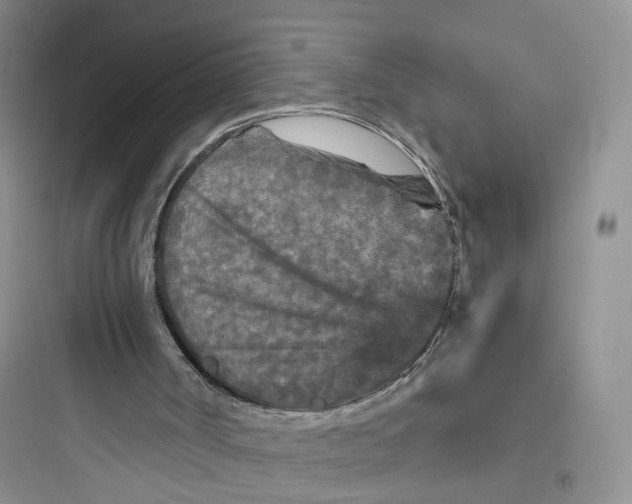 X0000097660002200803211930