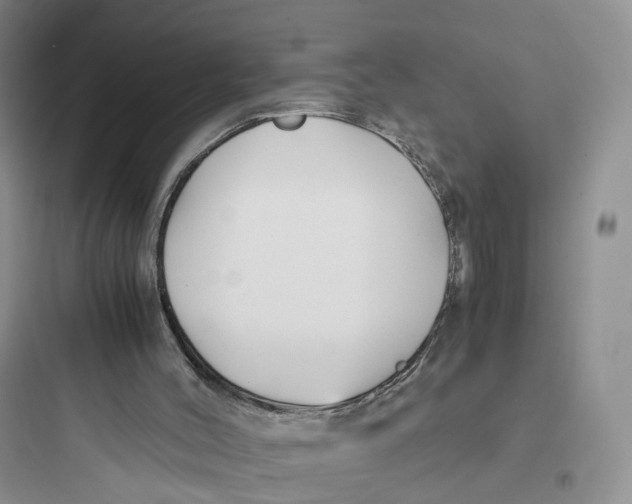 X0000097660004200803211930