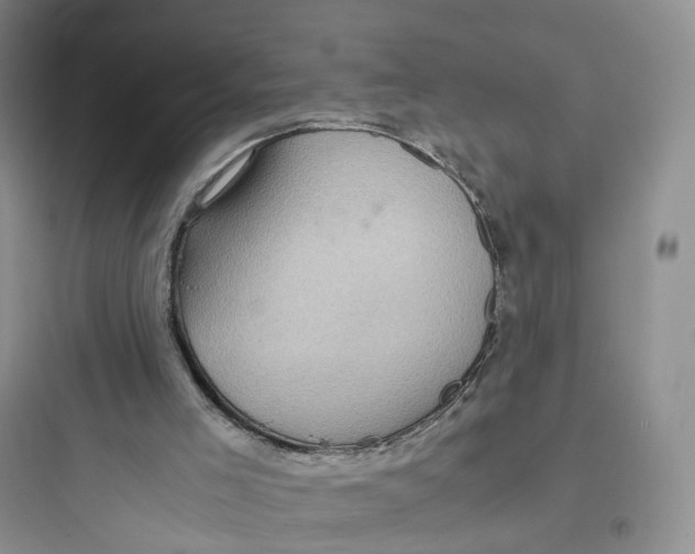 X0000097660005200803211930