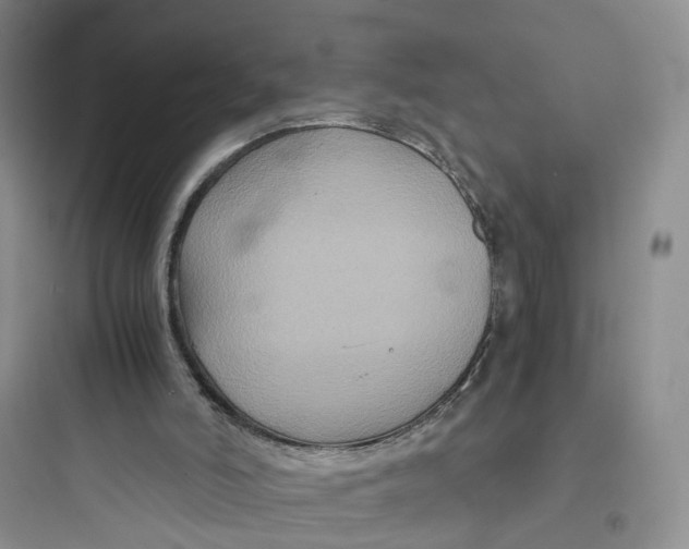 X0000097660006200803211930