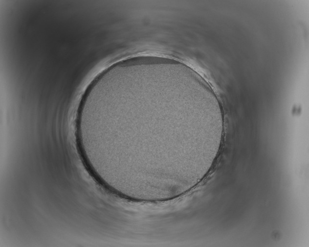 X0000097660007200803211930