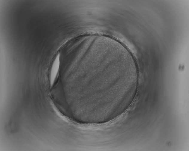X0000097660009200803211930