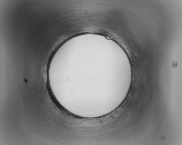 X0000097660011200803211930