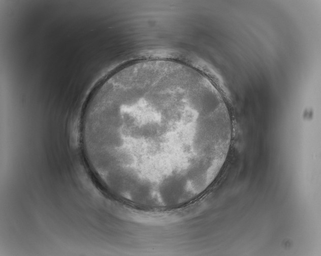 X0000097660012200803211930