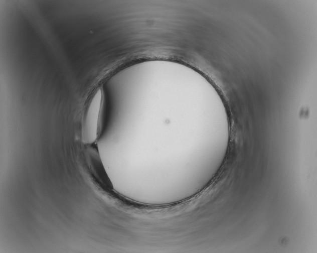 X0000097660013200803211930