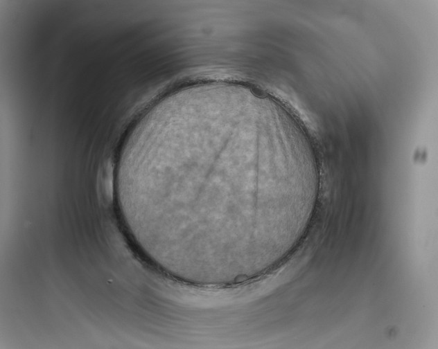 X0000097660014200803211930