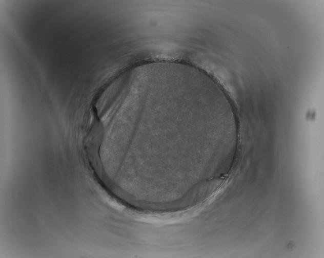 X0000097660017200803211930