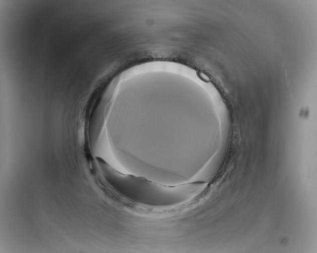 X0000097660019200803211930