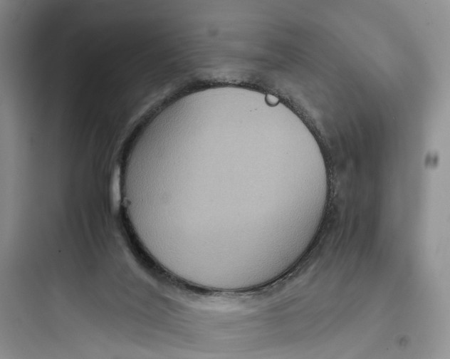 X0000097660020200803211930