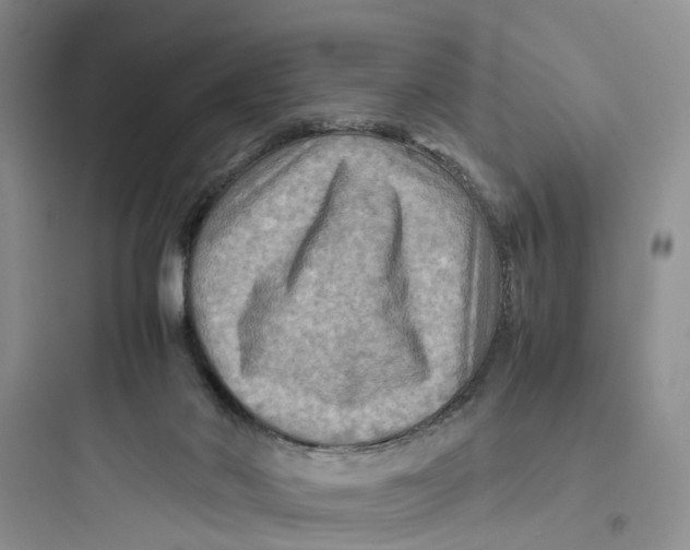 X0000097660022200803211930