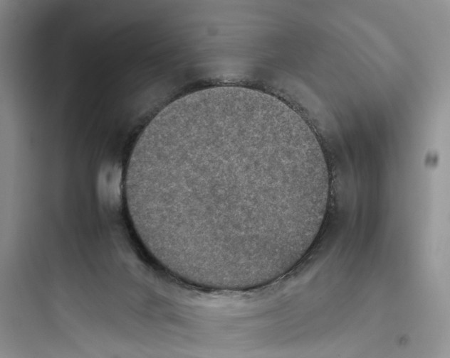 X0000097660024200803211929