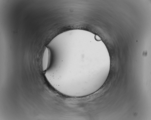 X0000097660025200803211929