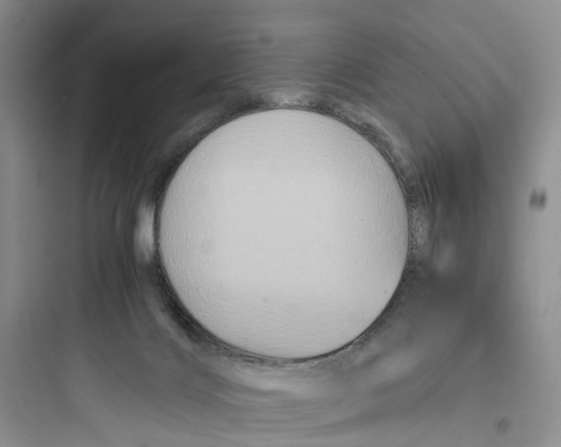 X0000097660028200803211929