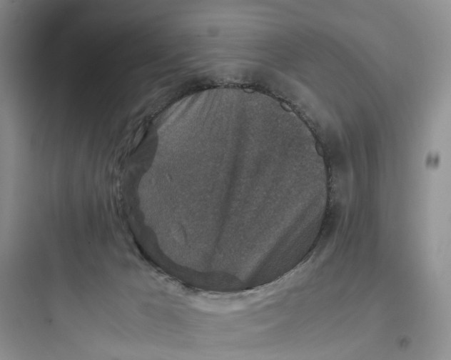 X0000097660029200803211929