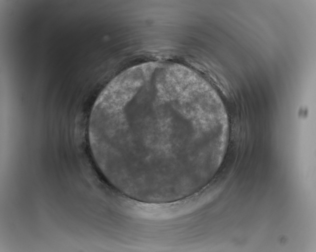 X0000097660030200803211929