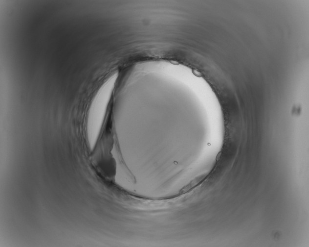 X0000097660031200803211929
