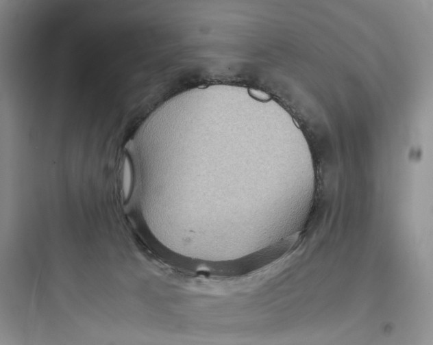 X0000097660033200803211929