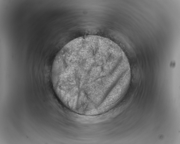 X0000097660034200803211929