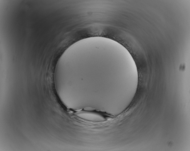 X0000097660035200803211929