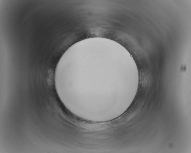 X0000097660036200803211929