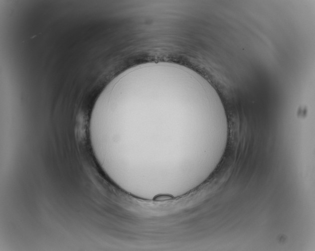 X0000097660038200803211929