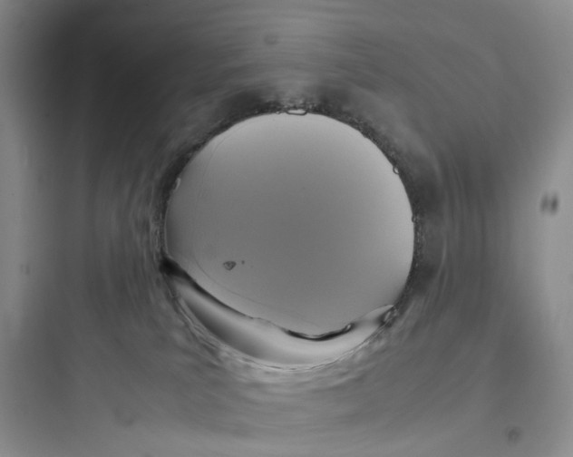 X0000097660039200803211929
