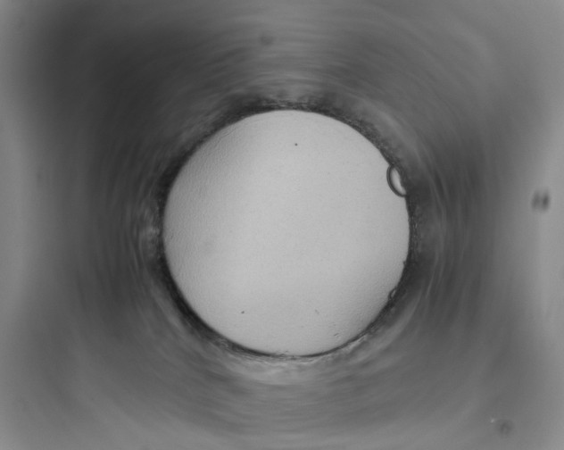 X0000097660040200803211929