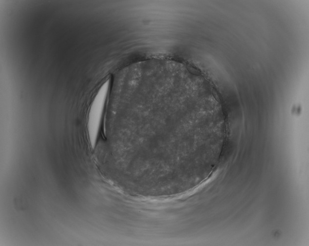 X0000097660041200803211929