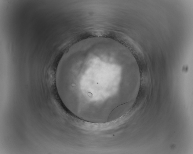 X0000097660043200803211929