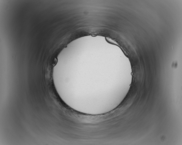 X0000097660044200803211929