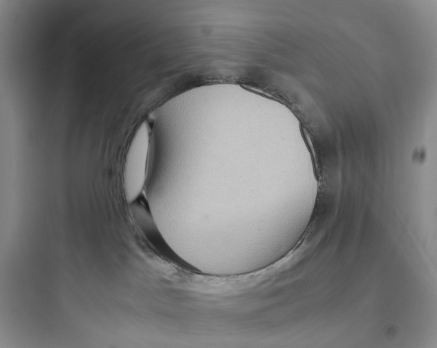 X0000097660045200803211929