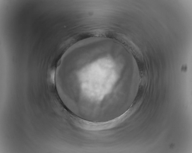 X0000097660047200803211929