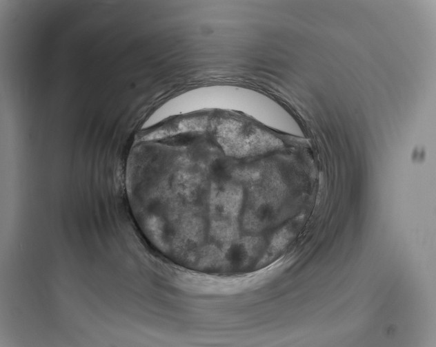 X0000097660048200803211929