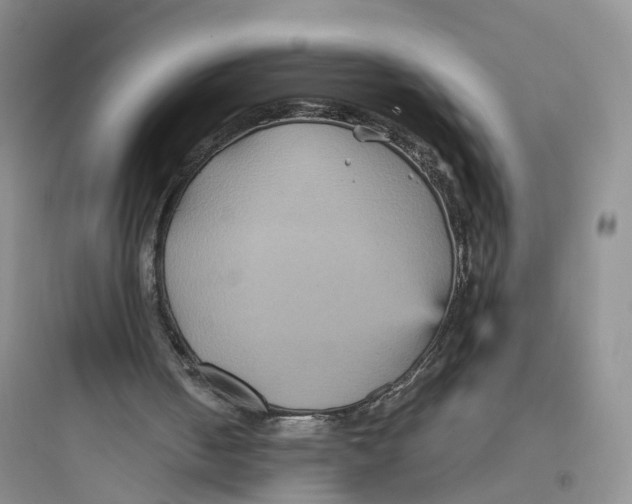 X0000097660050200803211928