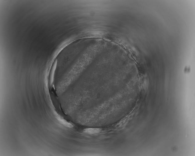X0000097660051200803211928