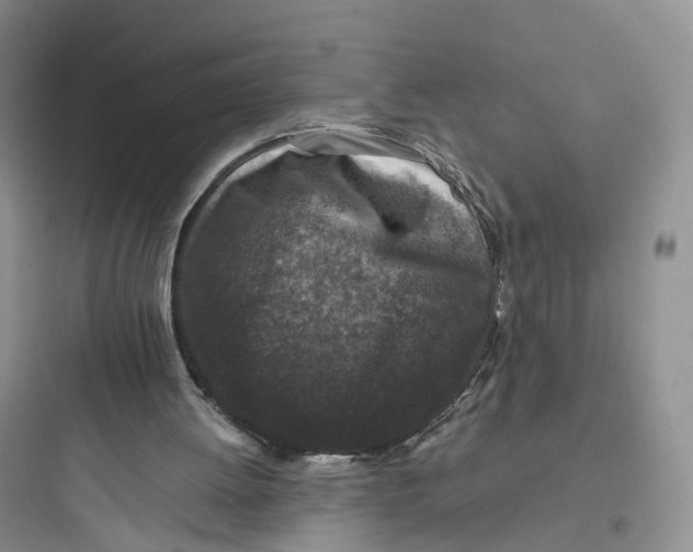 X0000097660052200803211928