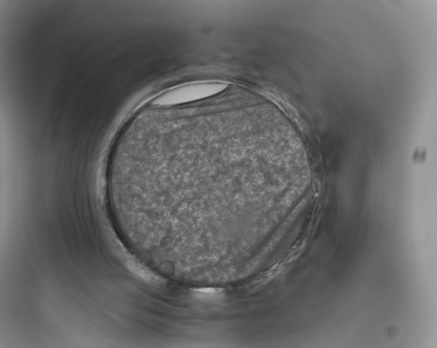 X0000097660053200803211928