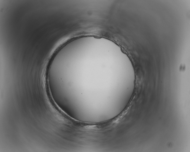 X0000097660054200803211928
