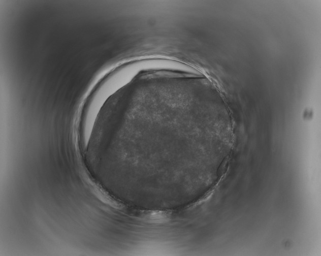 X0000097660056200803211928